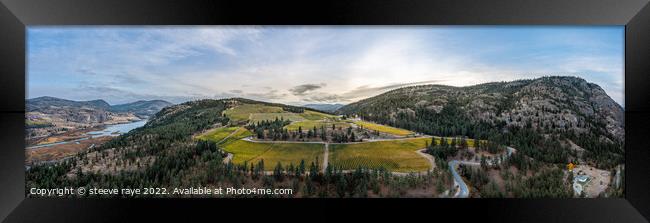 panorama of a vineyard on top of a mountain Framed Print by steeve raye