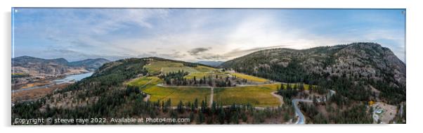 panorama of a vineyard on top of a mountain Acrylic by steeve raye