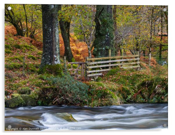 Woodland Gate Acrylic by Alan Dunnett