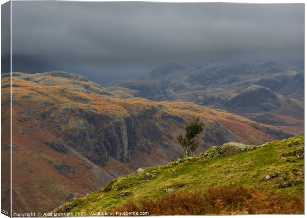 Above the Eskdale Valley Canvas Print by Alan Dunnett