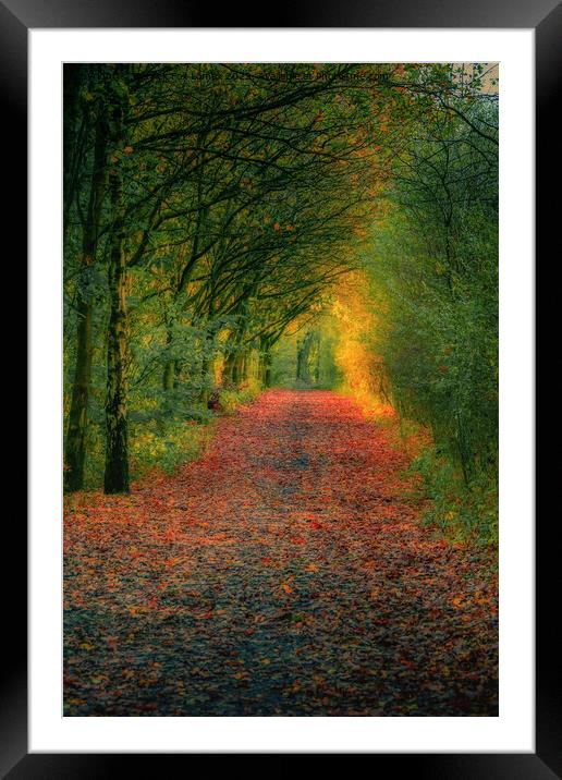 An autumn walk  Framed Mounted Print by Derrick Fox Lomax