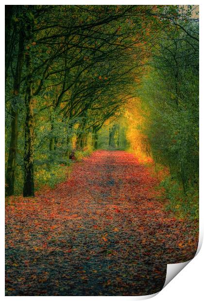 An autumn walk  Print by Derrick Fox Lomax