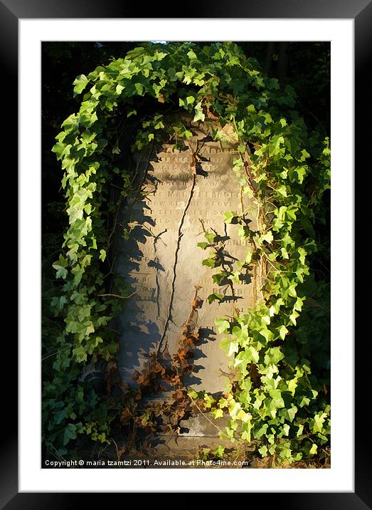 Creepy Creeping Ivy II Framed Mounted Print by Maria Tzamtzi Photography