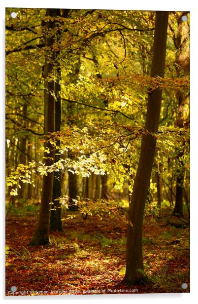 Autumn woodland  Acrylic by Simon Johnson
