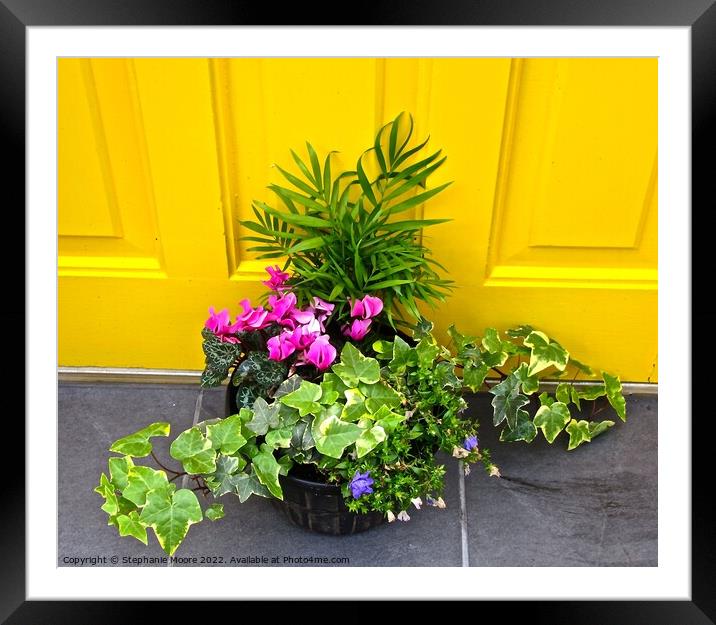 Plant in front of a yellow door Framed Mounted Print by Stephanie Moore