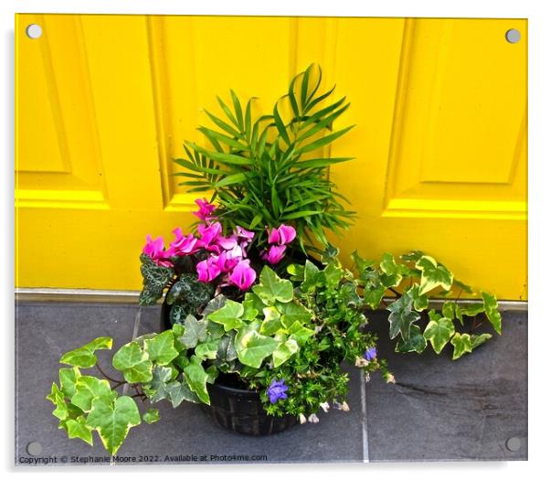 Plant in front of a yellow door Acrylic by Stephanie Moore