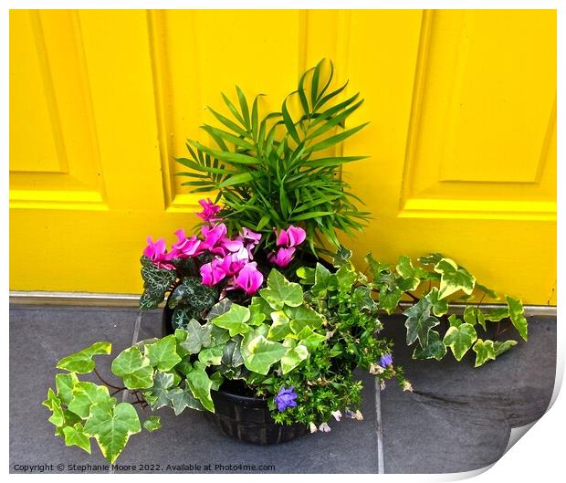 Plant in front of a yellow door Print by Stephanie Moore