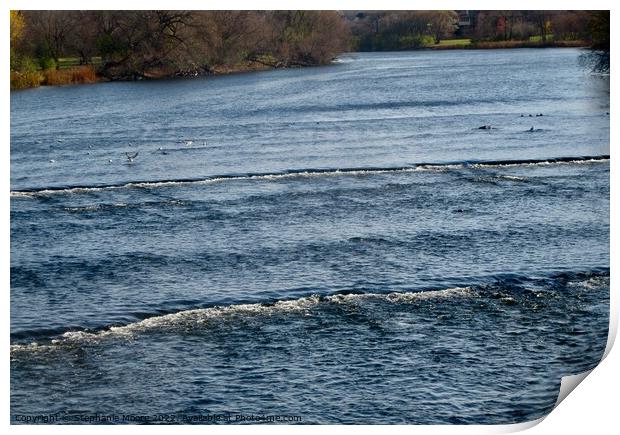 Rideau River Rapids Print by Stephanie Moore