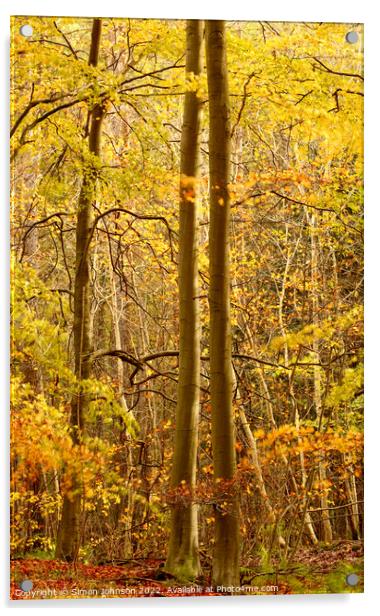 sunlit autumn woodland  Acrylic by Simon Johnson