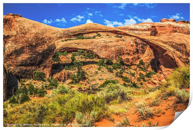 Landscape Arch Devils Garden Arches National Park Moab Utah Print by William Perry