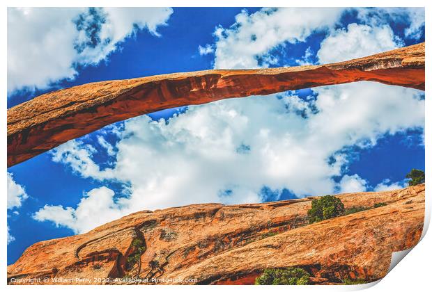 Colorful Landscape Arch Devils Garden Arches National Park Moab  Print by William Perry