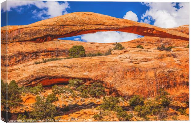 Colorful Landscape Arch Devils Garden Arches National Park Moab  Canvas Print by William Perry