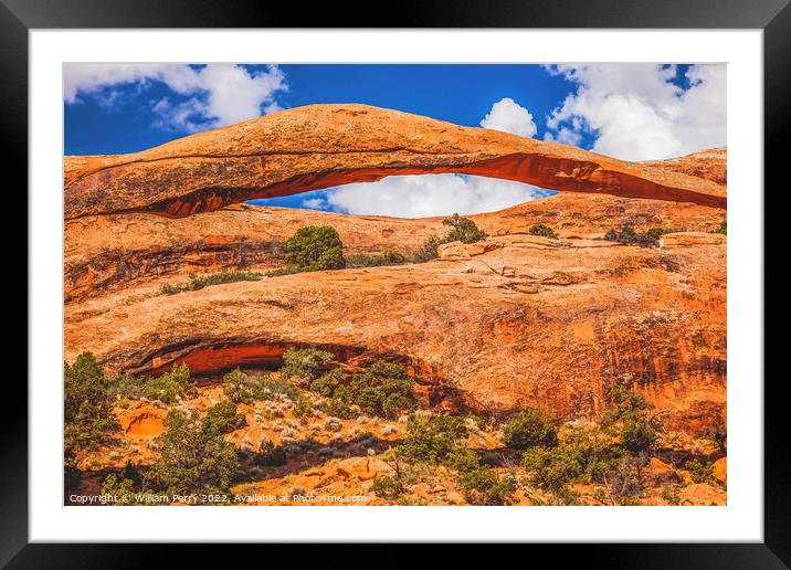 Colorful Landscape Arch Devils Garden Arches National Park Moab  Framed Mounted Print by William Perry