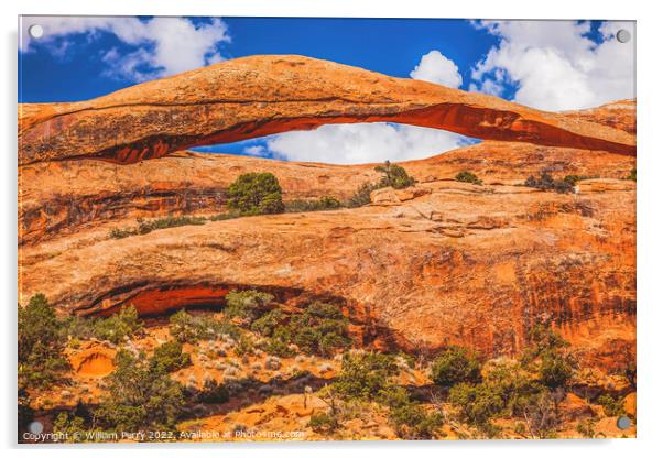 Colorful Landscape Arch Devils Garden Arches National Park Moab  Acrylic by William Perry