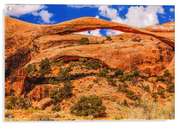 Colorful Landscape Arch Devils Garden Arches National Park Moab  Acrylic by William Perry