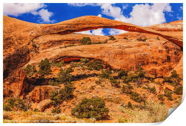 Colorful Landscape Arch Devils Garden Arches National Park Moab  Print by William Perry