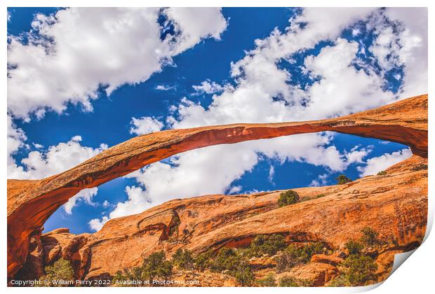 Landscape Arch Devils Garden Arches National Park Moab Utah  Print by William Perry