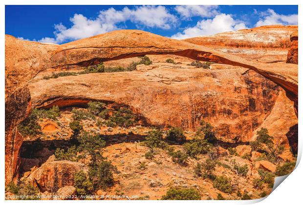 Landscape Arch Devils Garden Arches National Park Moab Utah  Print by William Perry