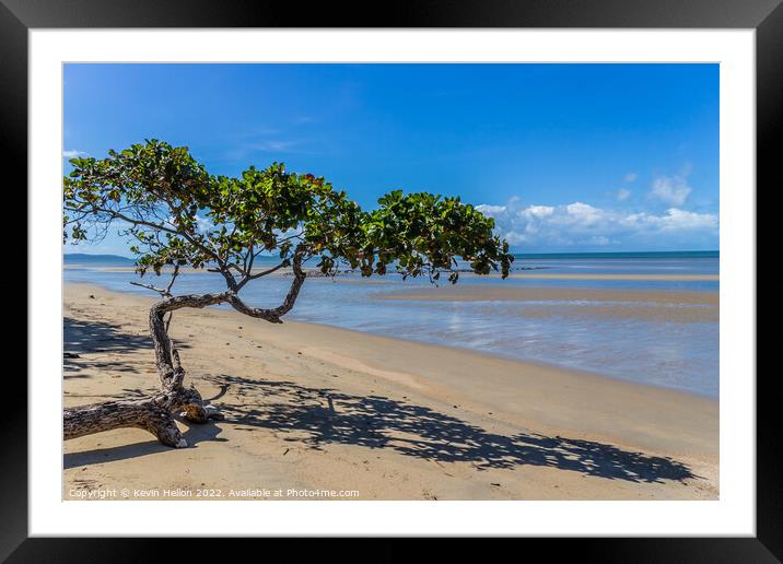 Lone tree, Cape Tribulation, Queensland, Australia Framed Mounted Print by Kevin Hellon