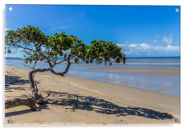 Lone tree, Cape Tribulation, Queensland, Australia Acrylic by Kevin Hellon