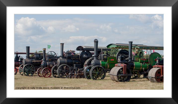 Tractor line-up Framed Mounted Print by Sally Wallis