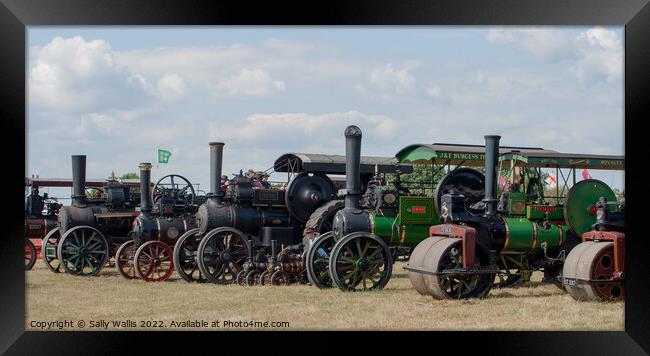 Tractor line-up Framed Print by Sally Wallis