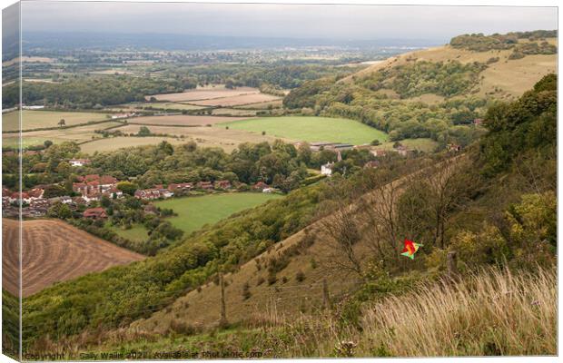 View from Devil's Dyke, East Sussex Canvas Print by Sally Wallis