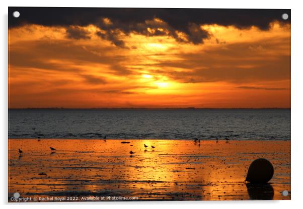 Heacham sunset Acrylic by Rachel Royal