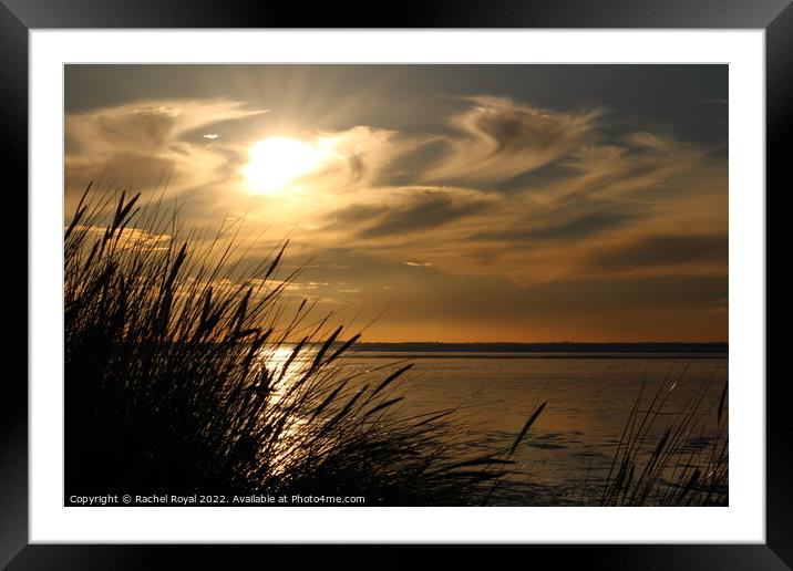 Sunset from the dunes. Framed Mounted Print by Rachel Royal