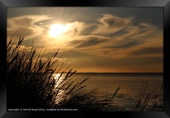 Sunset from the dunes. Framed Print by Rachel Royal