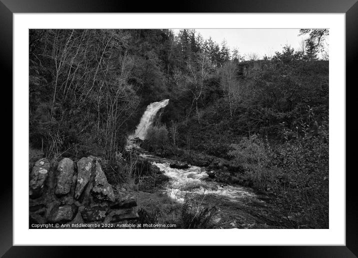 Grey mares tail waterfall in Galloway forest park Framed Mounted Print by Ann Biddlecombe