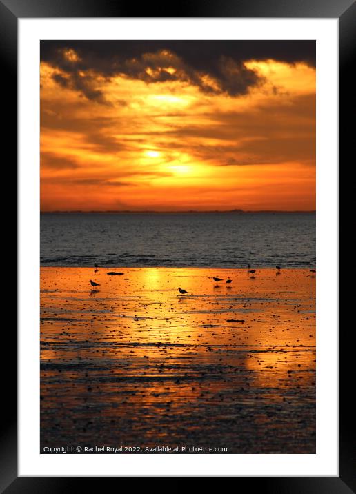 Beautiful Norfolk sunset in Heacham  Framed Mounted Print by Rachel Royal