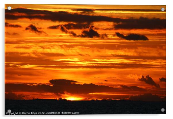 Sky on fire in North Norfolk Acrylic by Rachel Royal