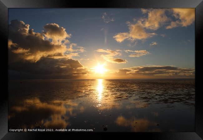 Glorious reflections at sunset in Norfolk  Framed Print by Rachel Royal