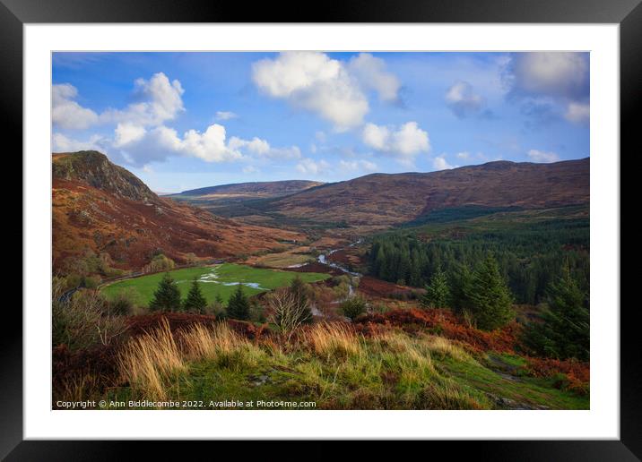 View from Murray monument  Framed Mounted Print by Ann Biddlecombe