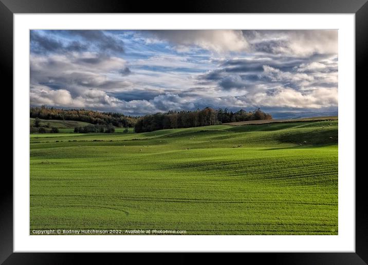 Serene Scottish Countryside Framed Mounted Print by Rodney Hutchinson