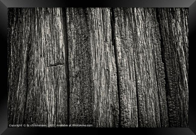 Tree bark abstract Framed Print by liz christensen