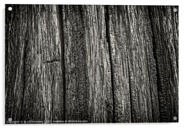 Tree bark abstract Acrylic by liz christensen