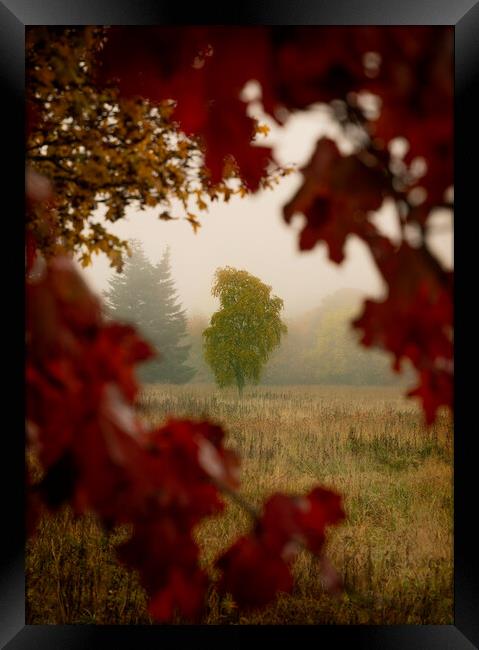 Torvean Framed Print by Macrae Images