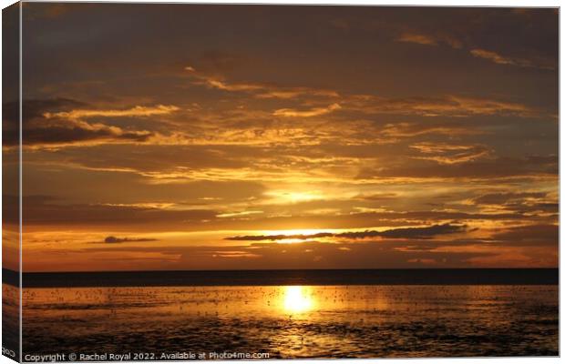 Golden Norfolk sunset Canvas Print by Rachel Royal