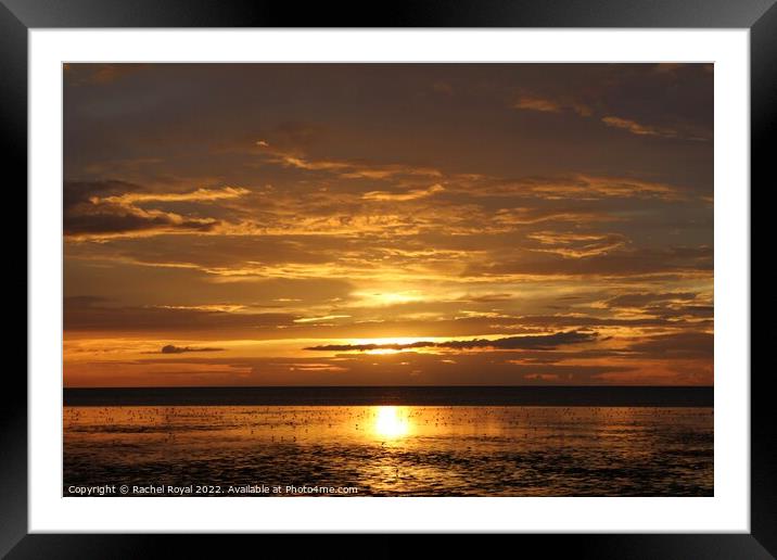 Golden Norfolk sunset Framed Mounted Print by Rachel Royal