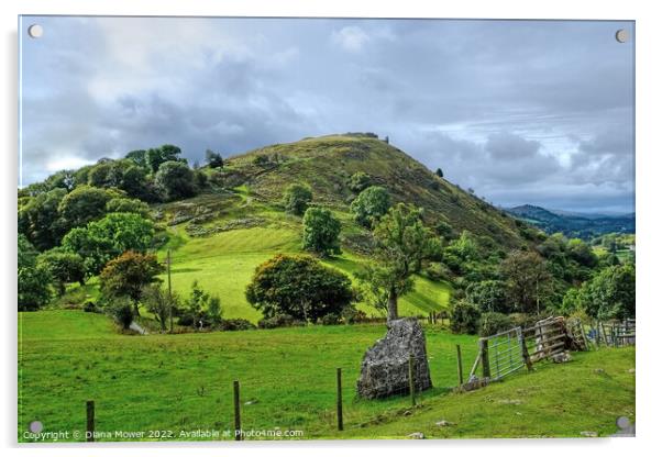 Dinas Bran Castle Ruins Acrylic by Diana Mower