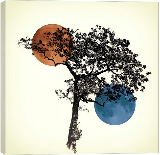 Tree of life Canvas Print by kathy white
