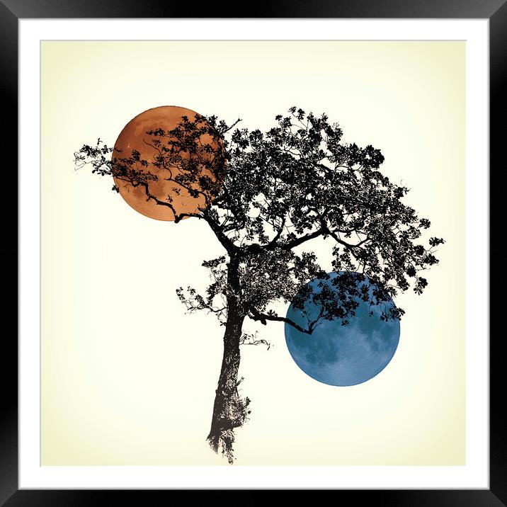 Tree of life Framed Mounted Print by kathy white