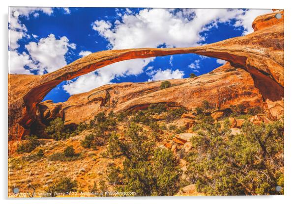 Landscape Arch Devils Garden Arches National Park Moab Utah  Acrylic by William Perry