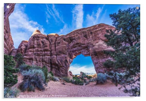 Pine Tree Arch Devils Garden Arches National Park Moab Utah  Acrylic by William Perry