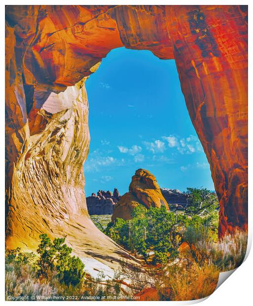Pine Tree Arch Devils Garden Arches National Park Moab Utah  Print by William Perry