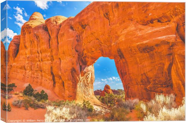 Pine Tree Arch Devils Garden Arches National Park Moab Utah  Canvas Print by William Perry