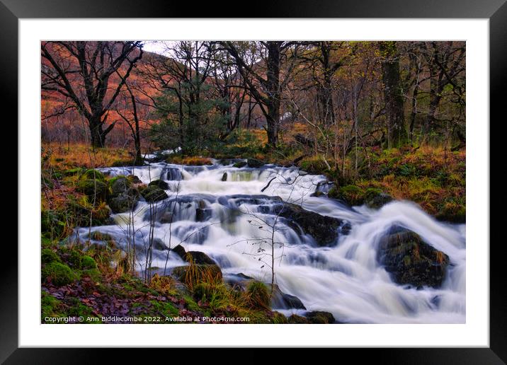 Fast flowing river in the woods Framed Mounted Print by Ann Biddlecombe