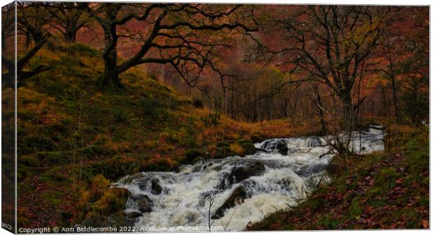 full river in the woods Canvas Print by Ann Biddlecombe
